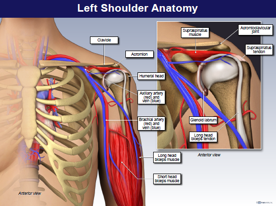 medical malpractice lawyers